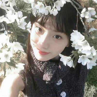 燕子与鹦鹉